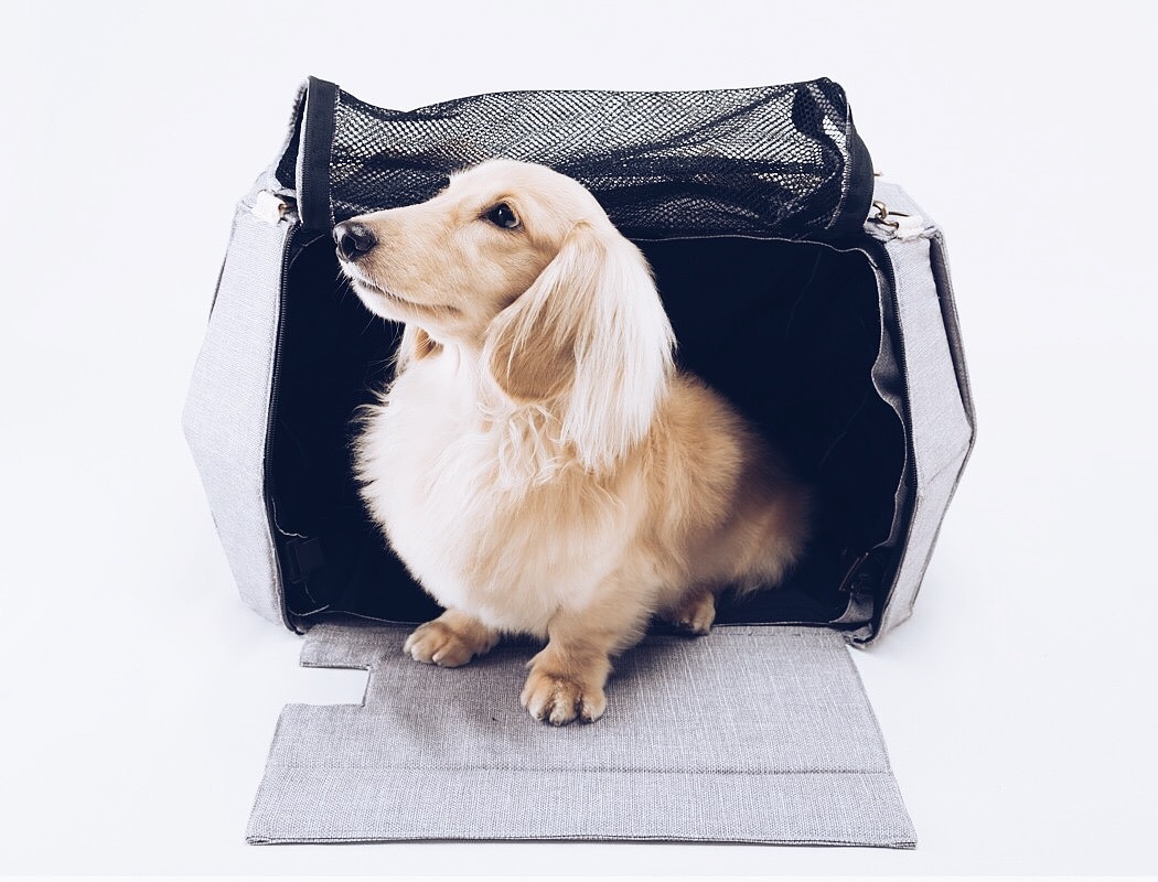 fold，Pet home，Pet bed，Portable，