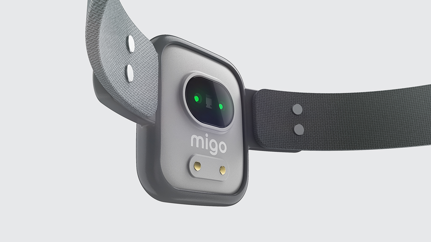 sketch，Dog，sensor，a collar for a horse，migo，