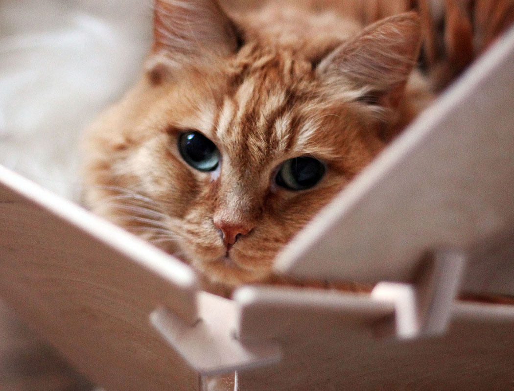 geometry，assemble，wood，Portable，