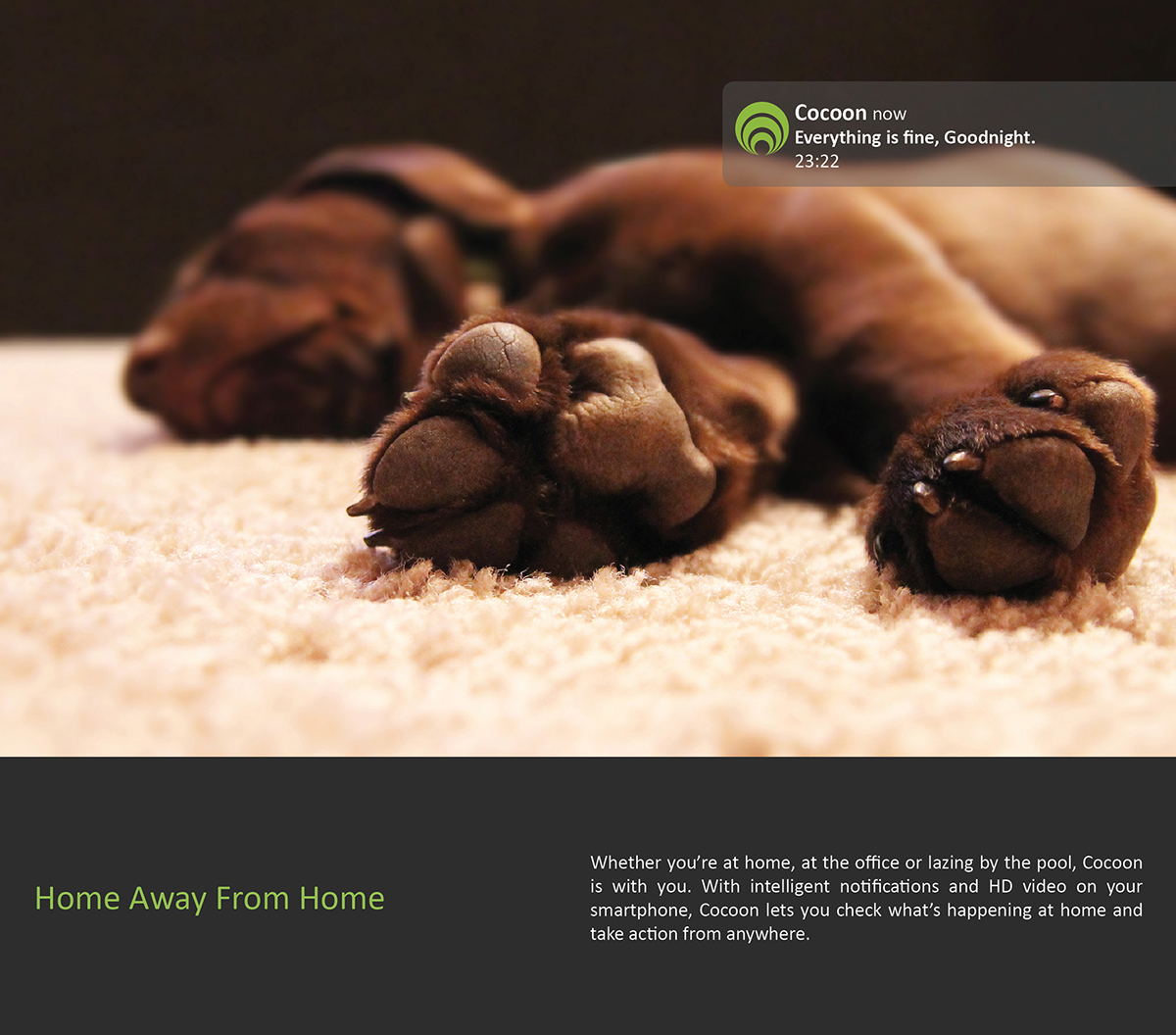 Cocoon，intelligence，camera，