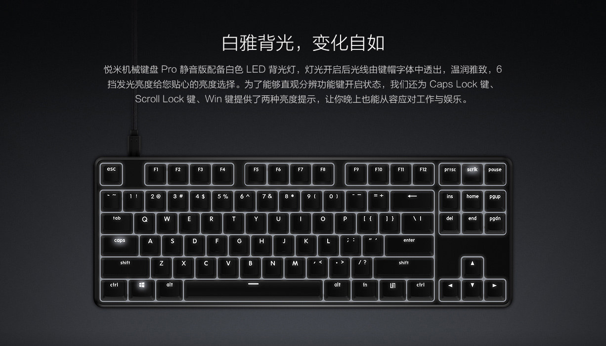 Digital，Computer accessories，keyboard，millet，