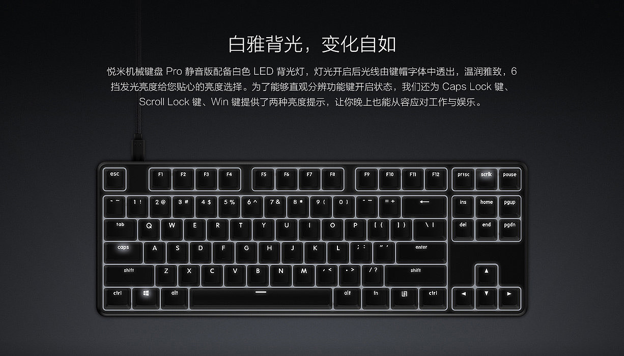 Digital，Computer accessories，keyboard，millet，