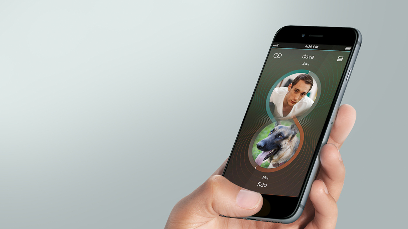 Pets，industrial design，Interaction design，