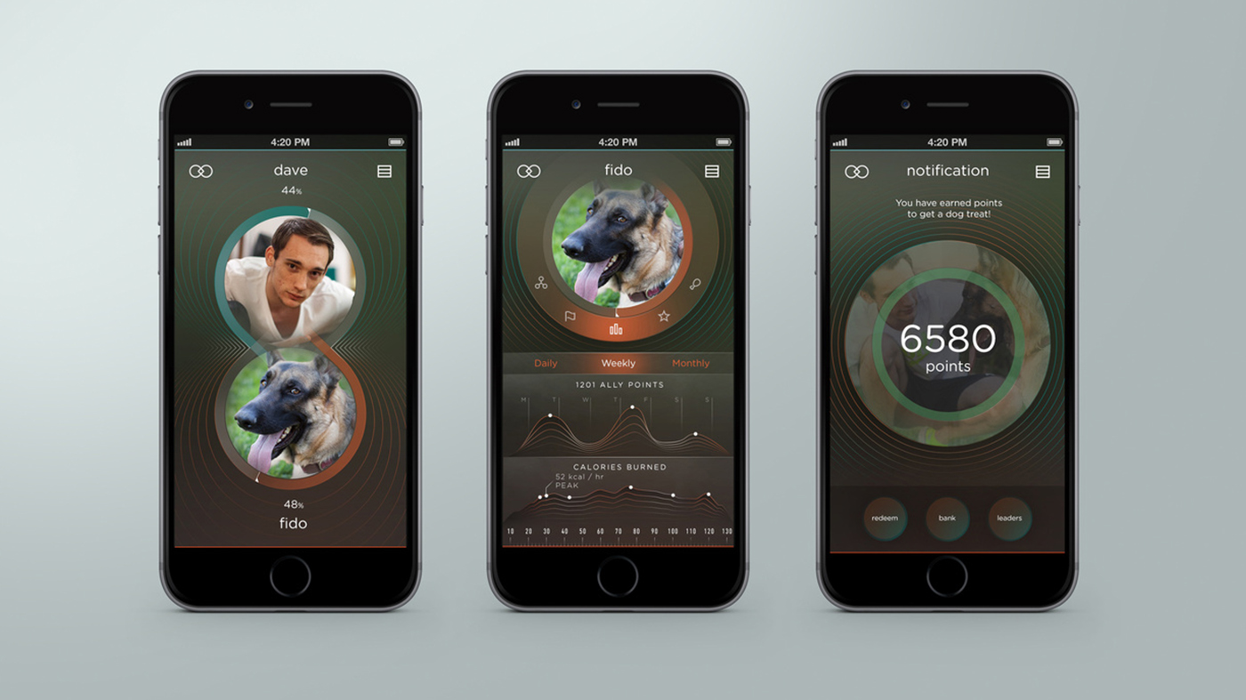 Pets，industrial design，Interaction design，