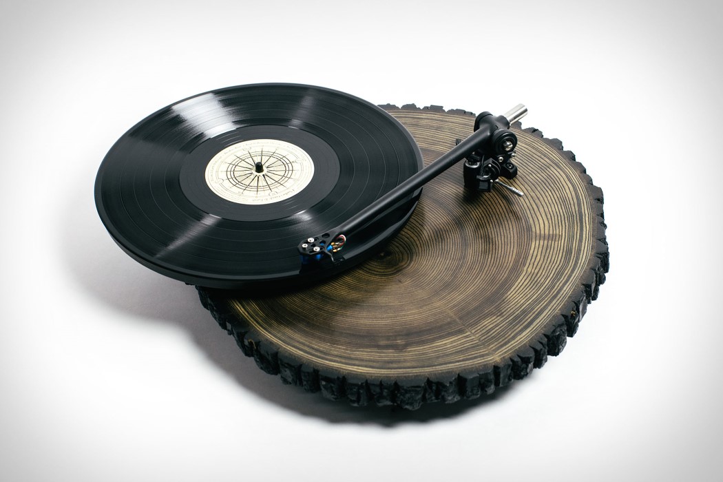record，Joel Scilley，Ash trees，Glass plate，brass，