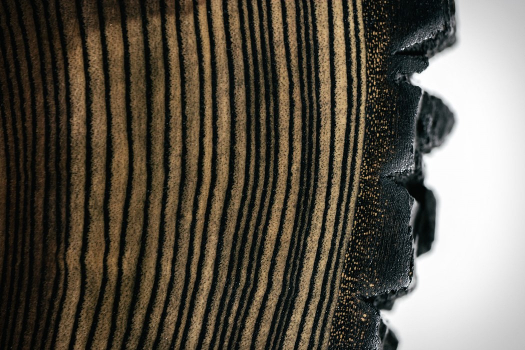 record，Joel Scilley，Ash trees，Glass plate，brass，