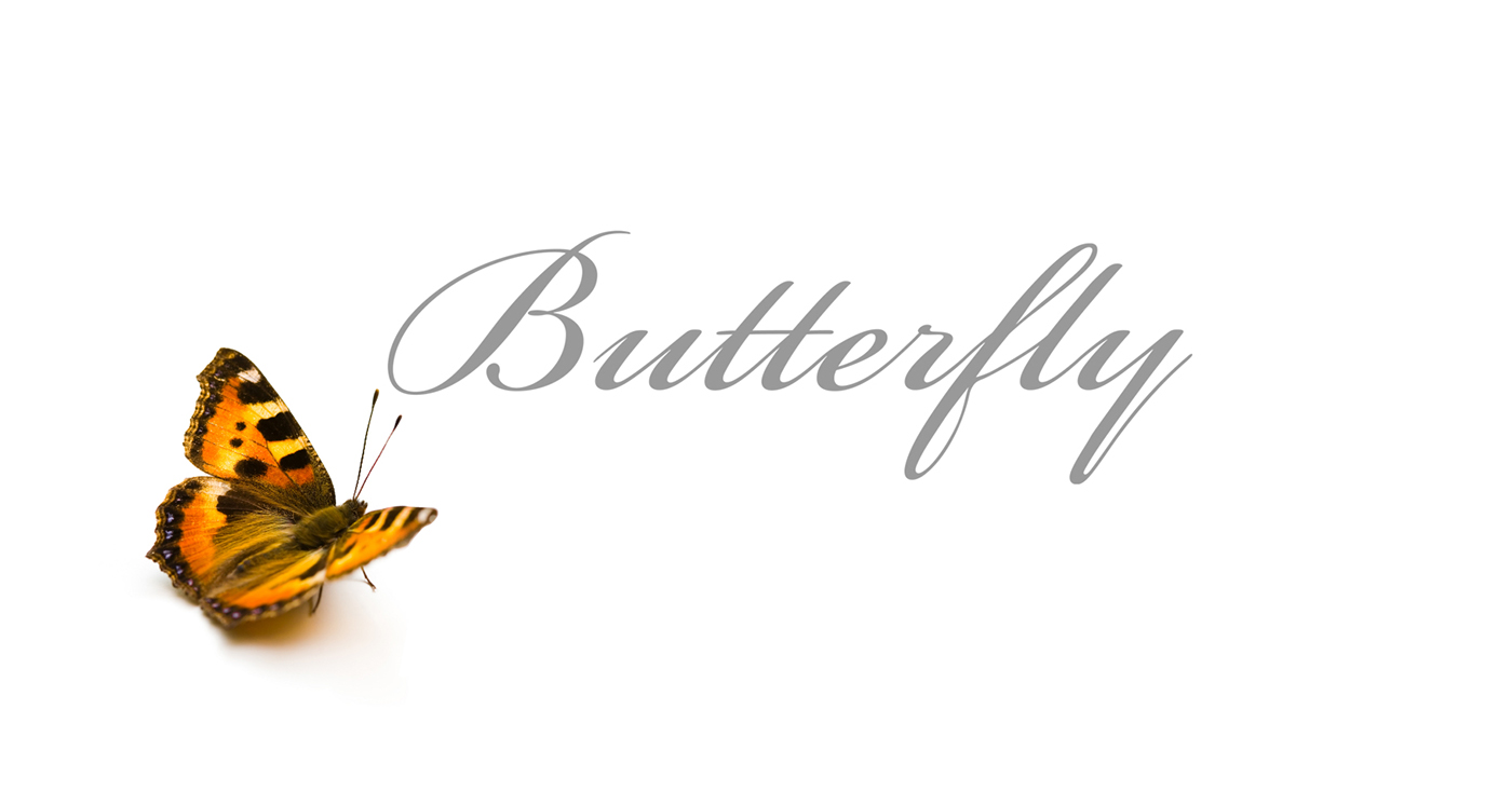 butterfly 