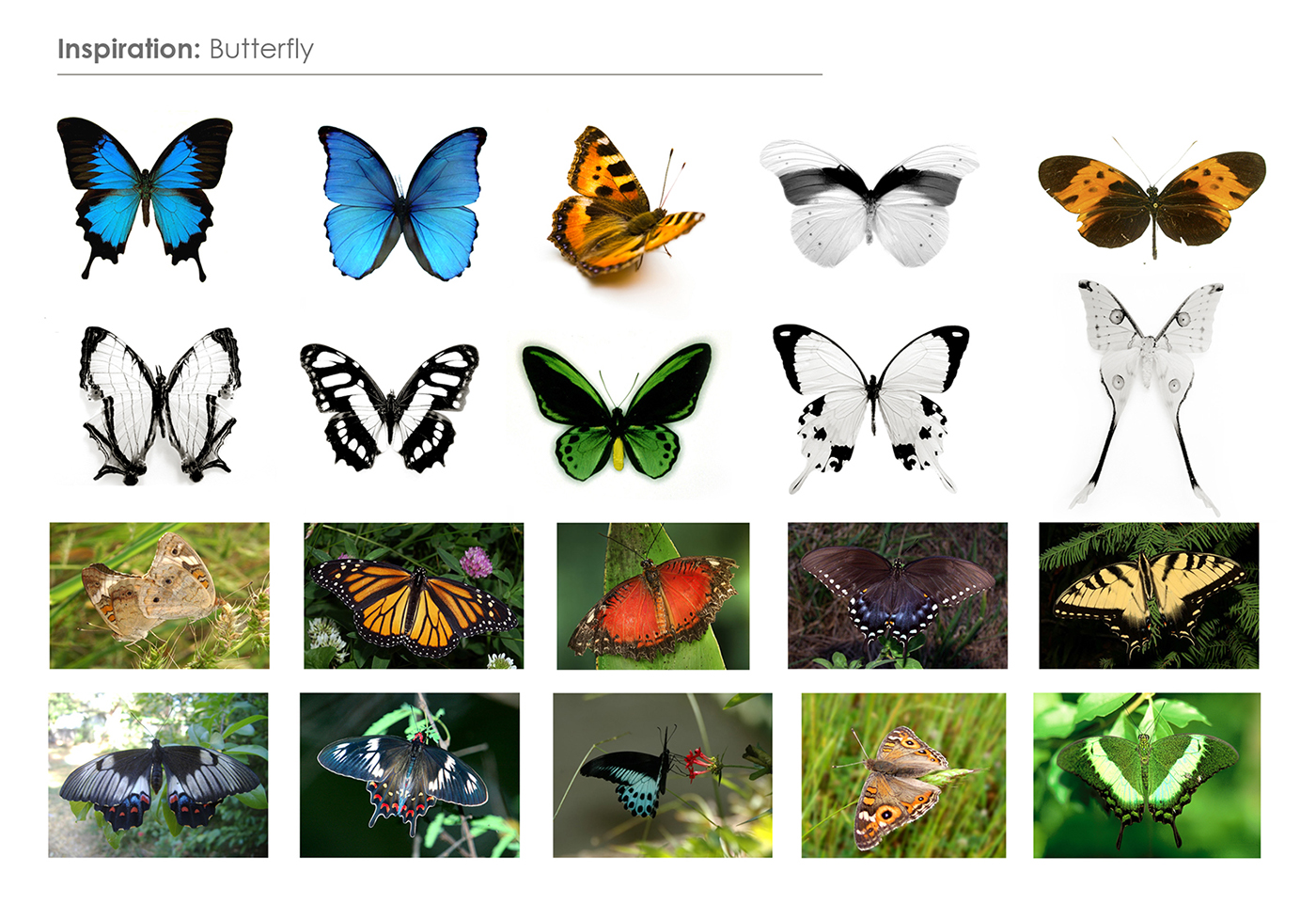 Butterfly，iPod Docking，Desktop docking system，Music dock station，Apple dock，