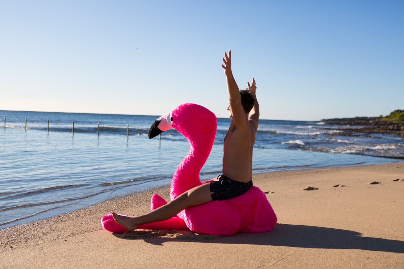 inflation，Chillingo，Flamingo，Pink，