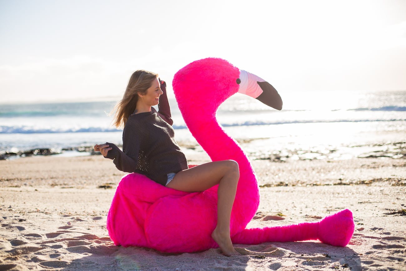 inflation，Chillingo，Flamingo，Pink，