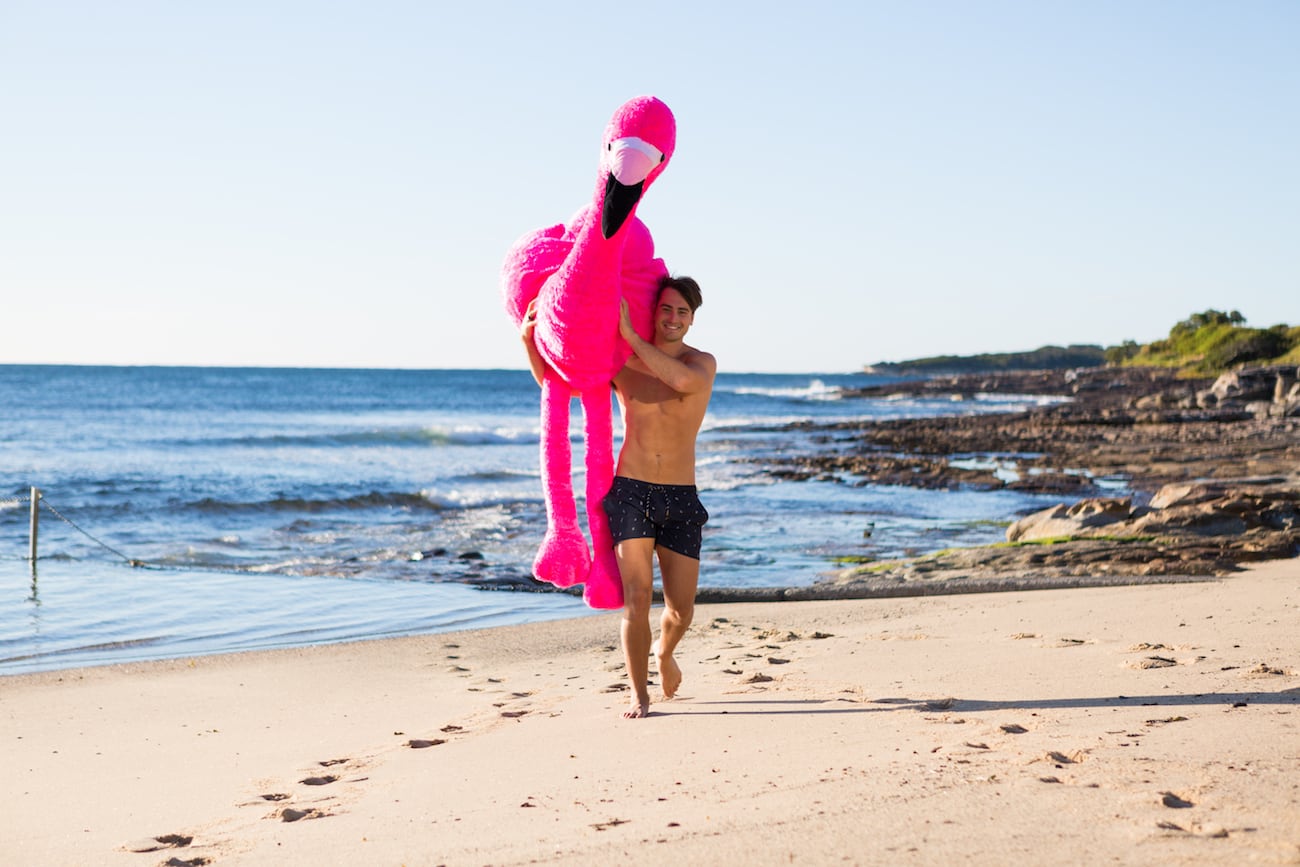 inflation，Chillingo，Flamingo，Pink，