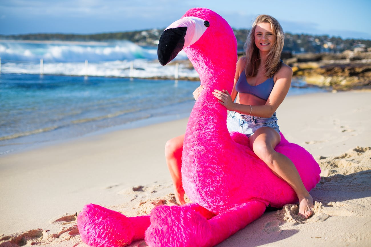 inflation，Chillingo，Flamingo，Pink，