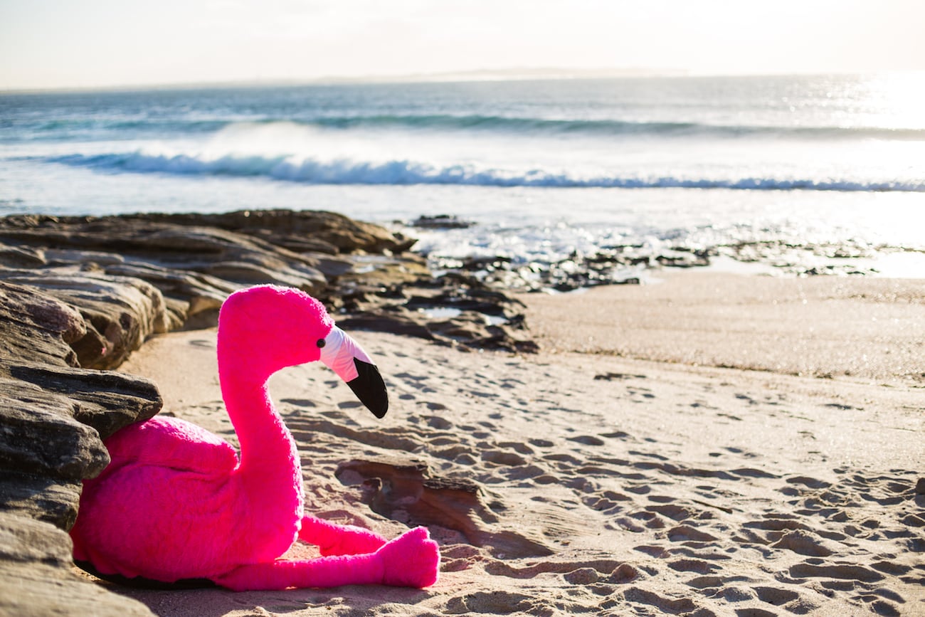 inflation，Chillingo，Flamingo，Pink，