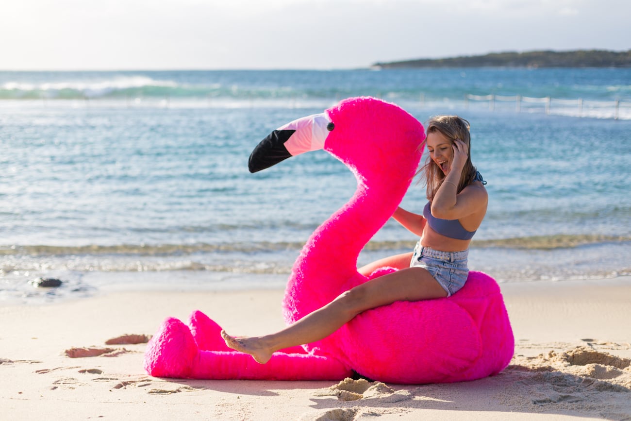 inflation，Chillingo，Flamingo，Pink，