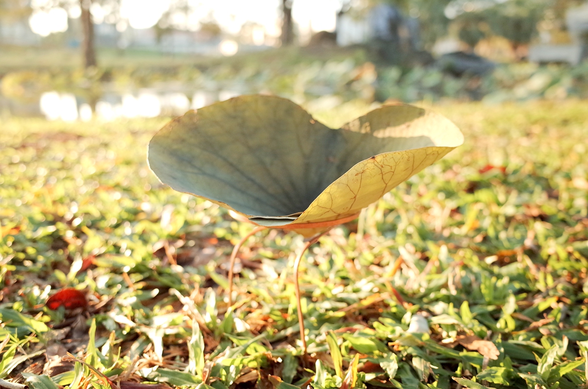 Utensils，tableware，product design，industrial design，