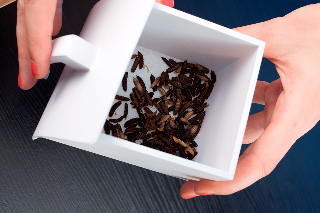 Farm 432，Protein converter，high protein，