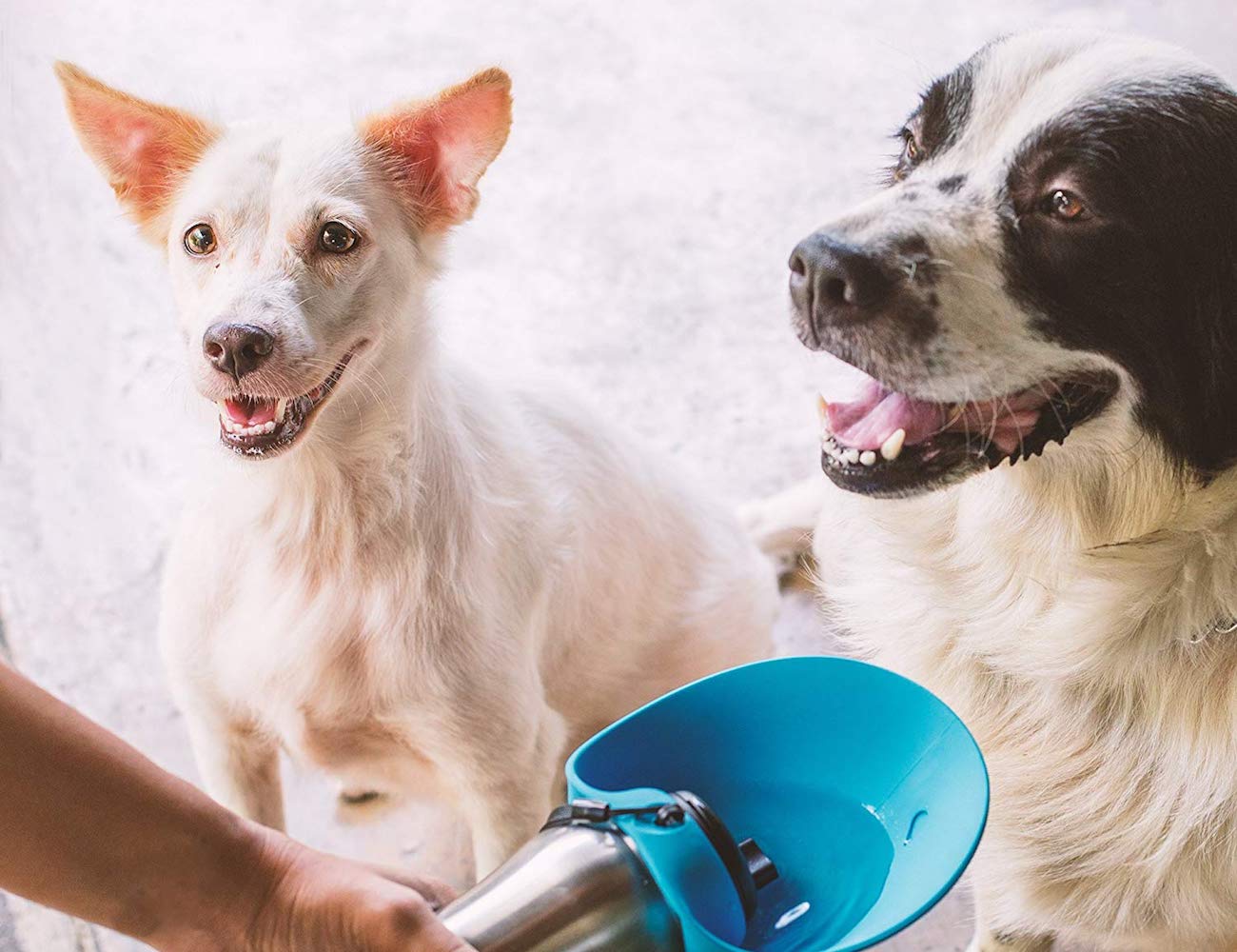 Tough Pupper，Dog water bottle，portable，