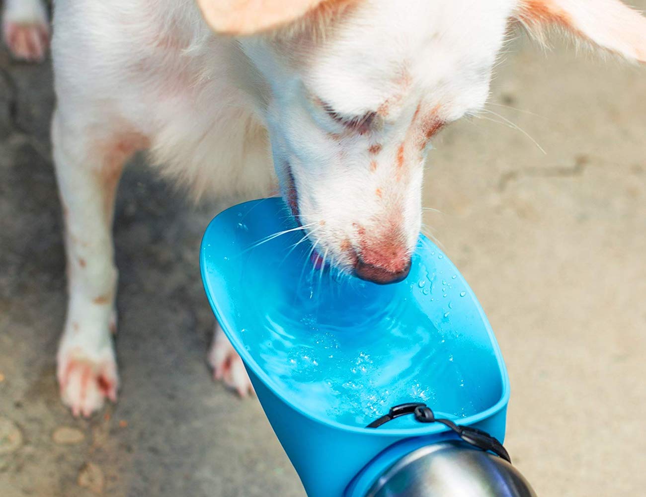 Tough Pupper，Dog water bottle，portable，