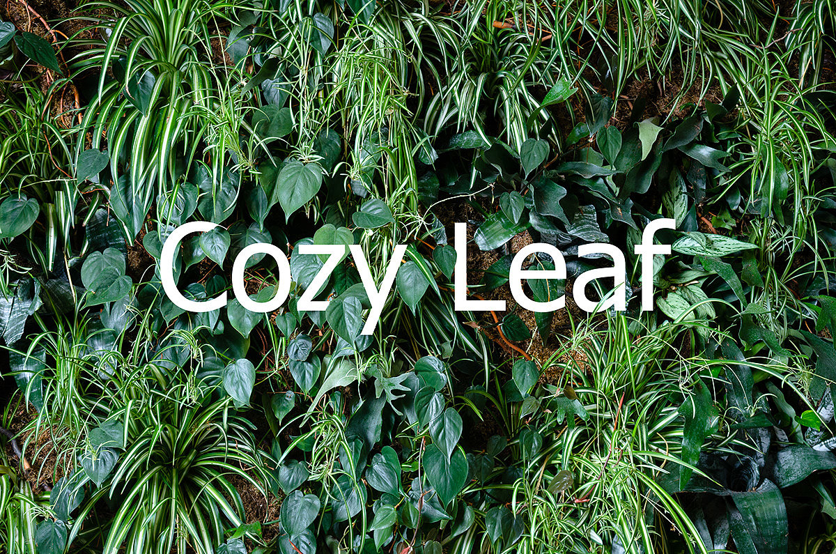 Cozy Leaf，沙发椅，家具，产品设计，椅子，