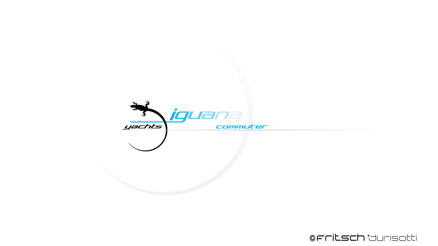 Commuter，Iguana，amphibious，white，Cruise，