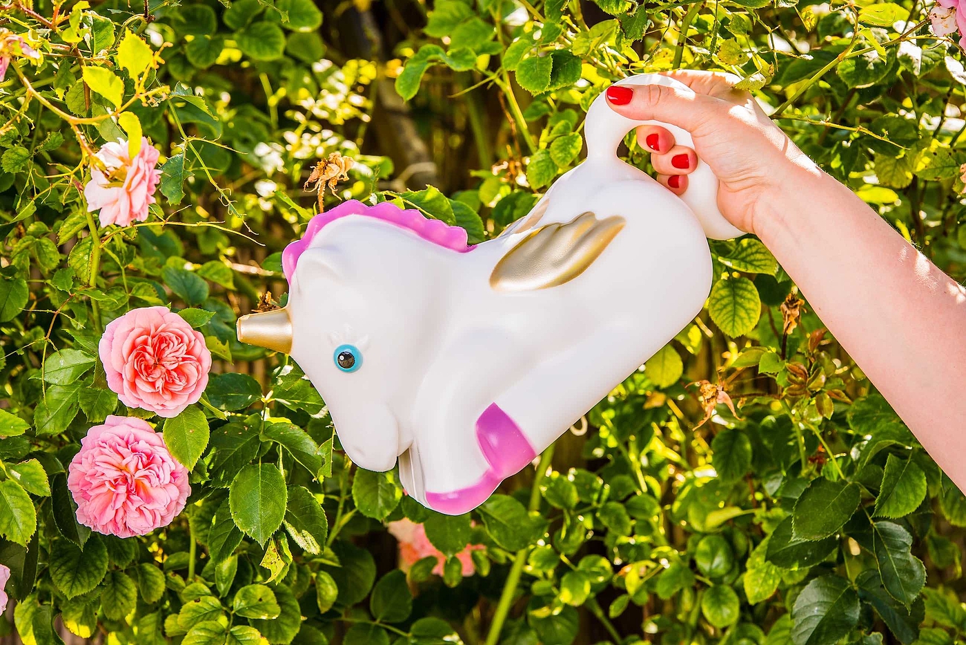 Plastic，Watering can，unicorn，Watering pot，Gardening tools，Watering can，