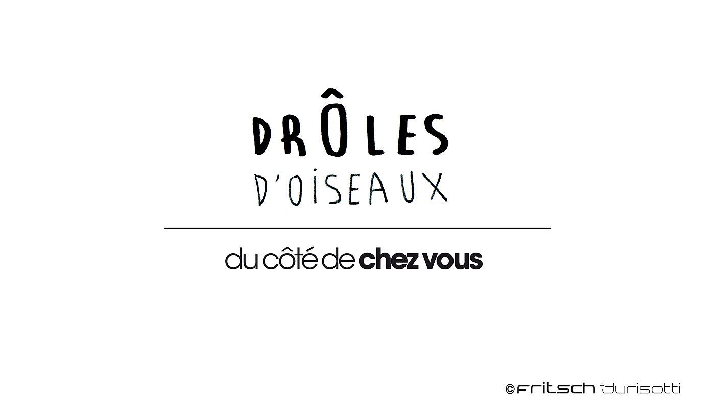 户外，Drôles d'Oisea，自组家具，花园，