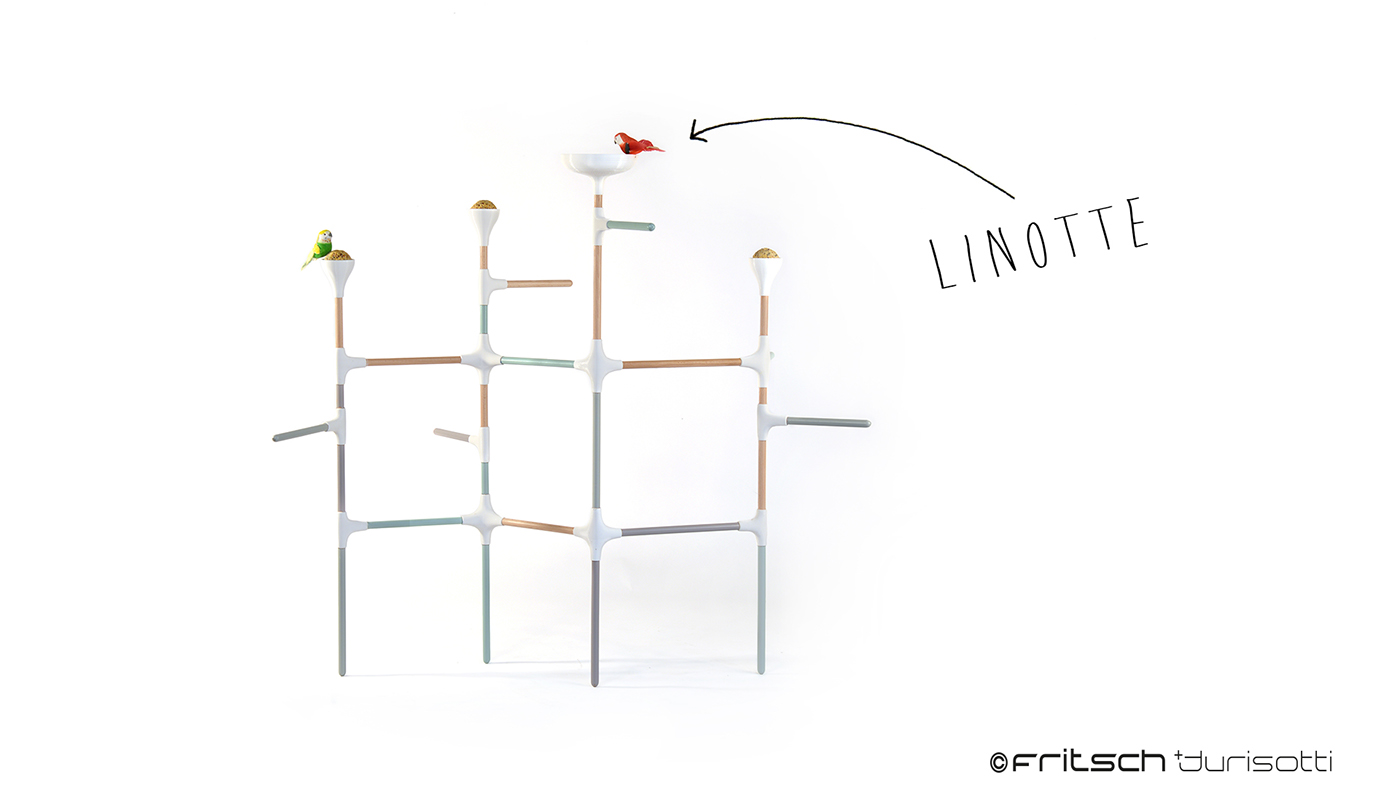 outdoors，Interesting oisea，Self organized furniture，garden，