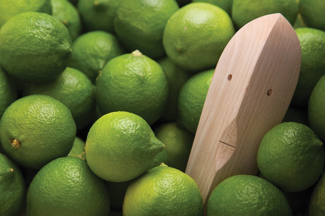 wooden ，Lemon juice dispenser，Yaacov Kaufman，Juicer，