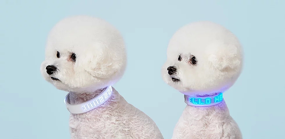 项圈，Smart pet band，Neo-pop，RFID，芯片，