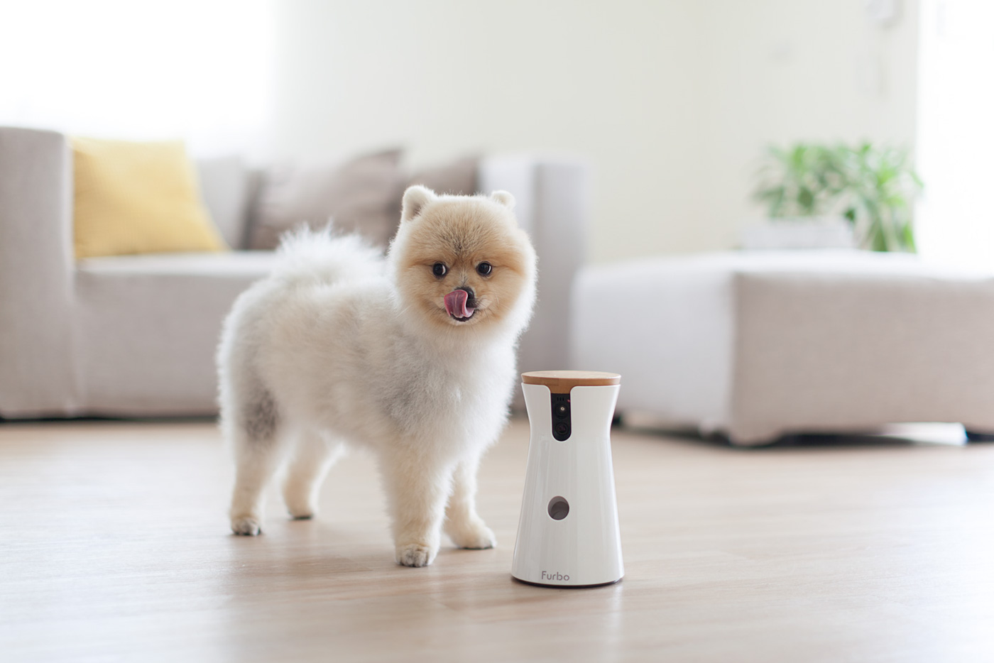 interactive，video camera，Pets，Furbo，Hey!Cheese，