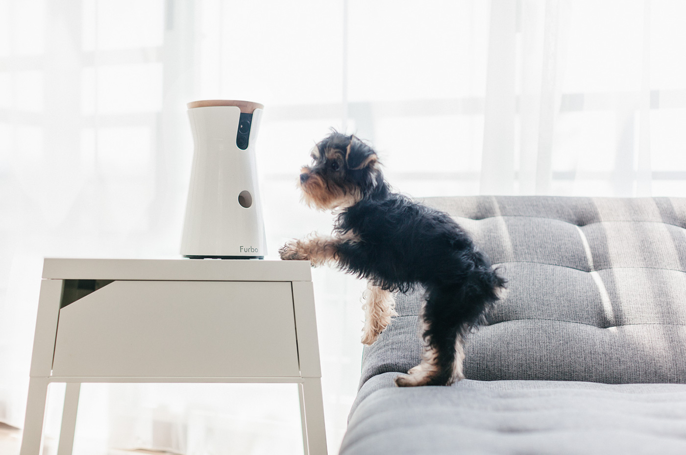 interactive，video camera，Pets，Furbo，Hey!Cheese，