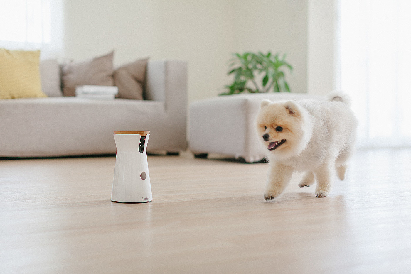 interactive，video camera，Pets，Furbo，Hey!Cheese，
