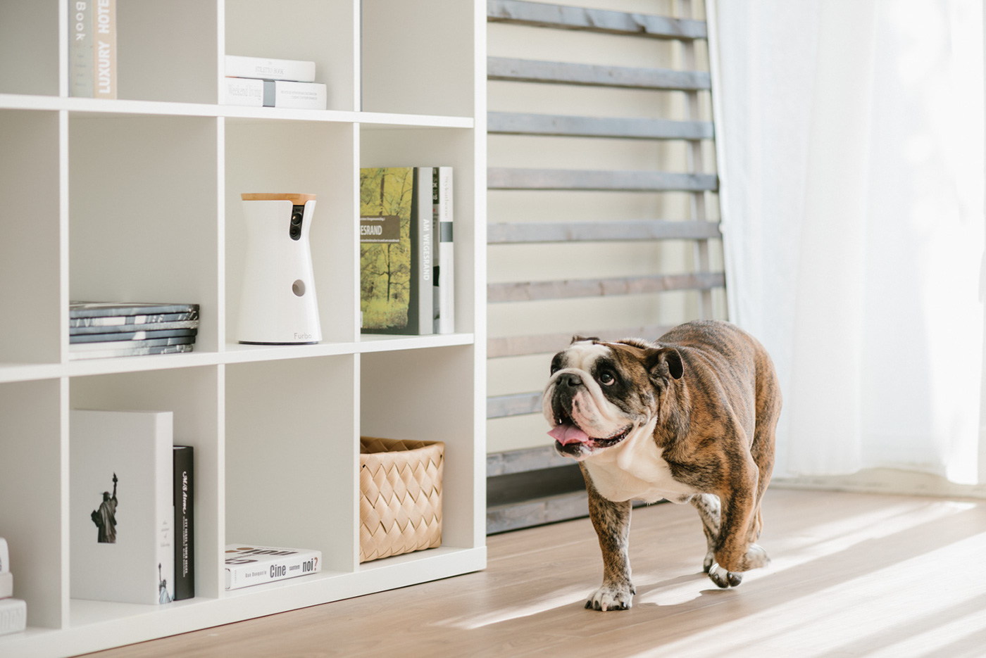 interactive，video camera，Pets，Furbo，Hey!Cheese，