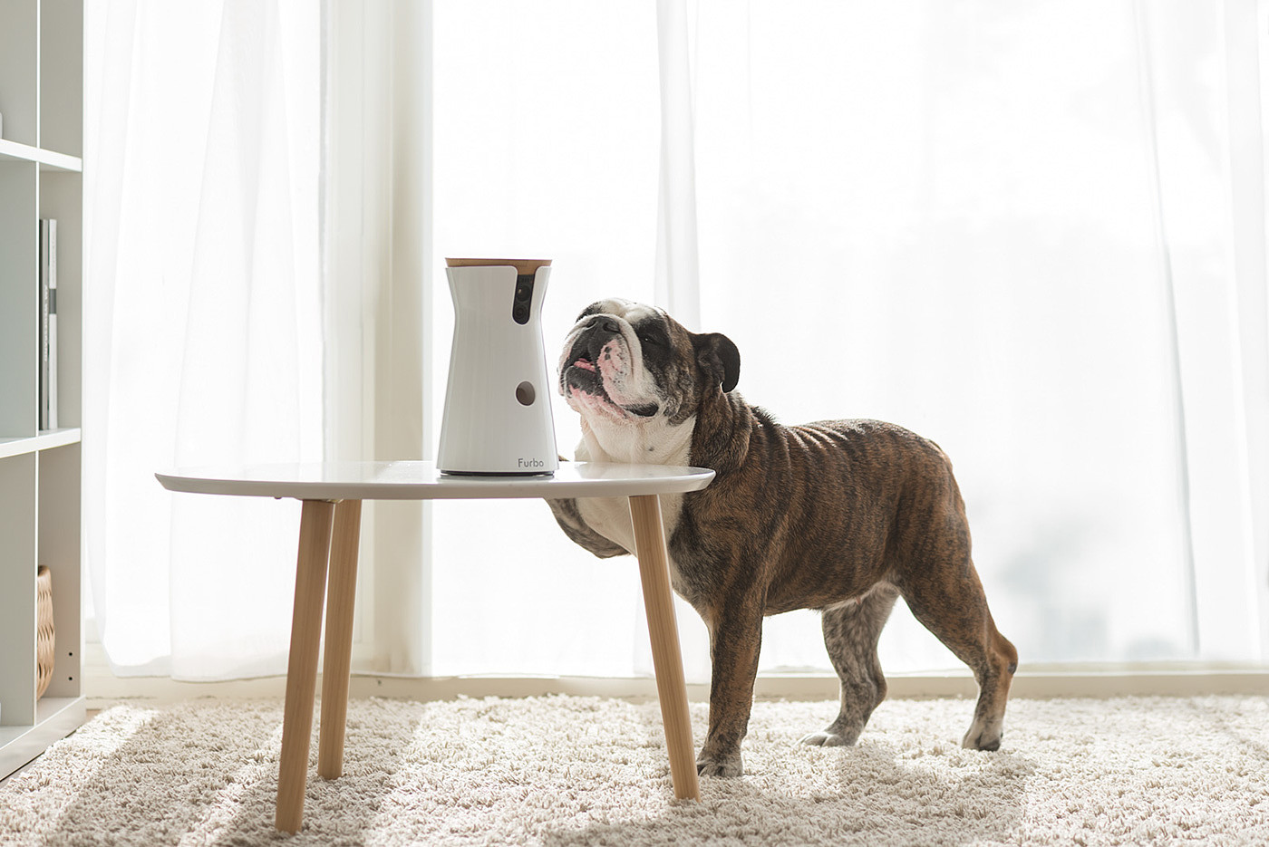 interactive，video camera，Pets，Furbo，Hey!Cheese，