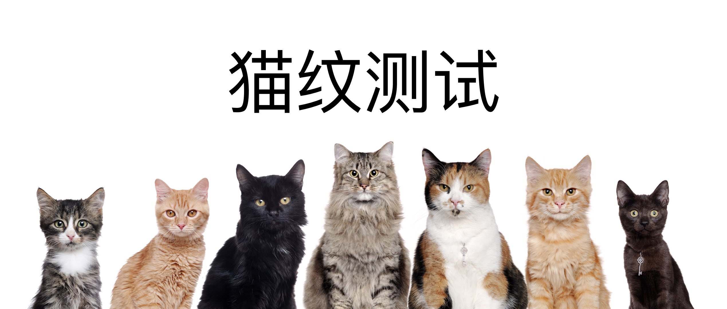 release conference，Digital，mobile phone，Meizu，