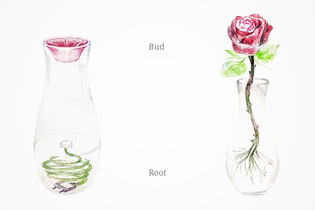 Life, aestheticism and precipitation，