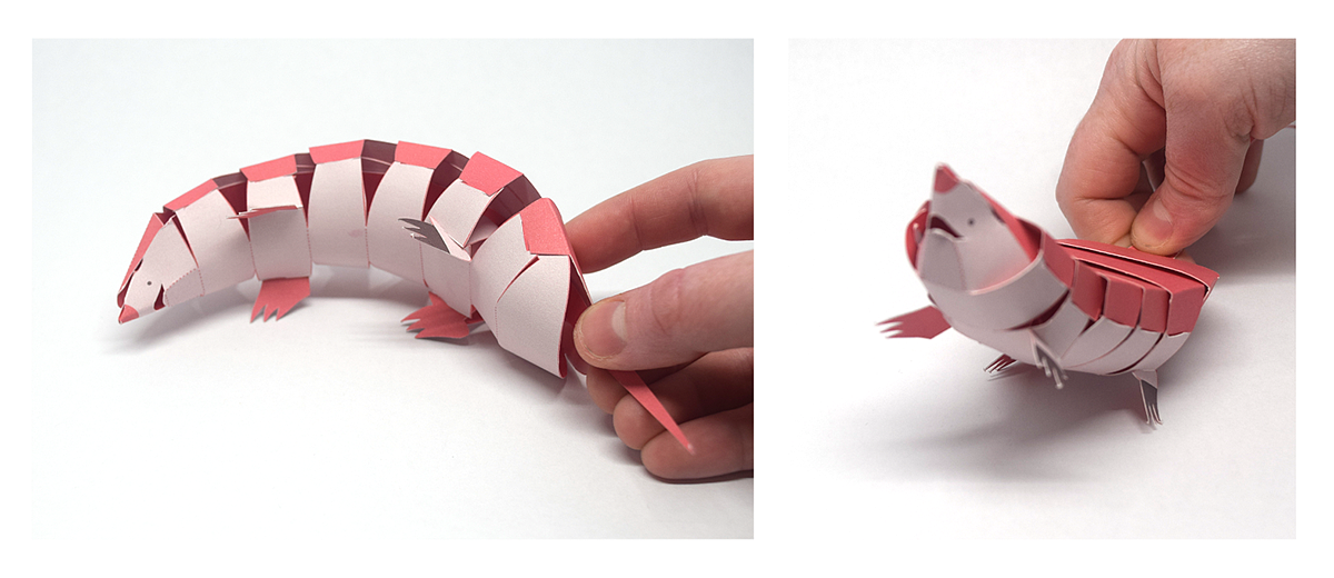 Interesting，armadillo，Origami，Pink Fairy，BEARS，