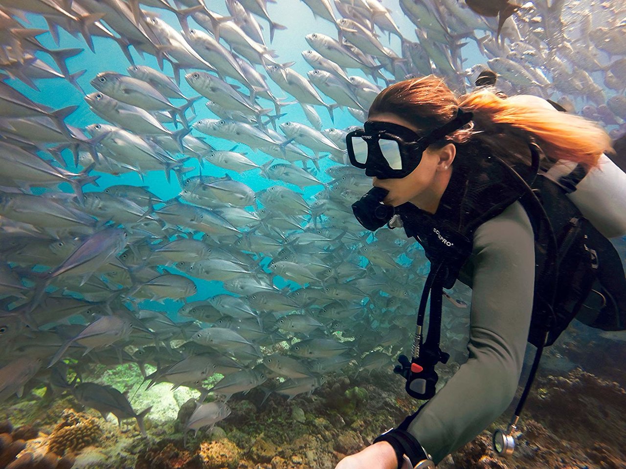 Gopro 3 Way 三向支架自拍杆 将天下美景收入囊中 普象网