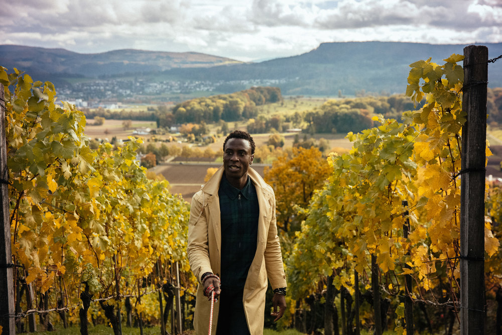 pen container，CARLO BOOKEND，Bookends，Porcelain，3D printing，OTHR，