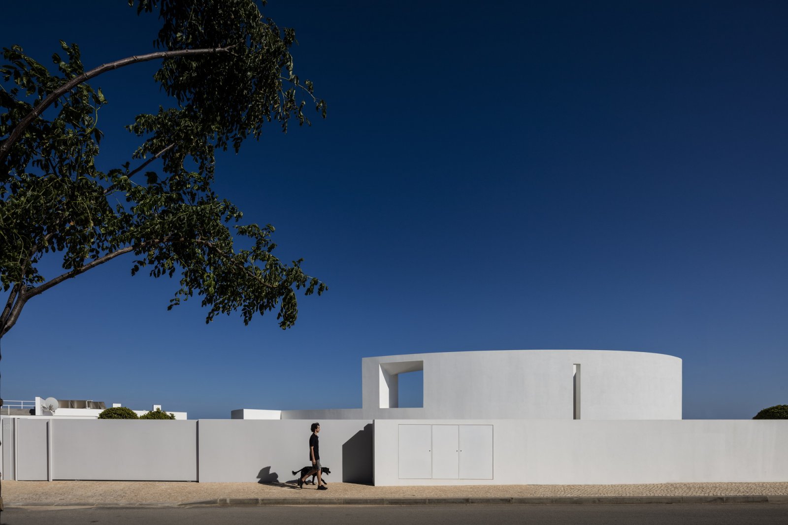 Elliptic House，Mario Martins，ellipse，Building interior，