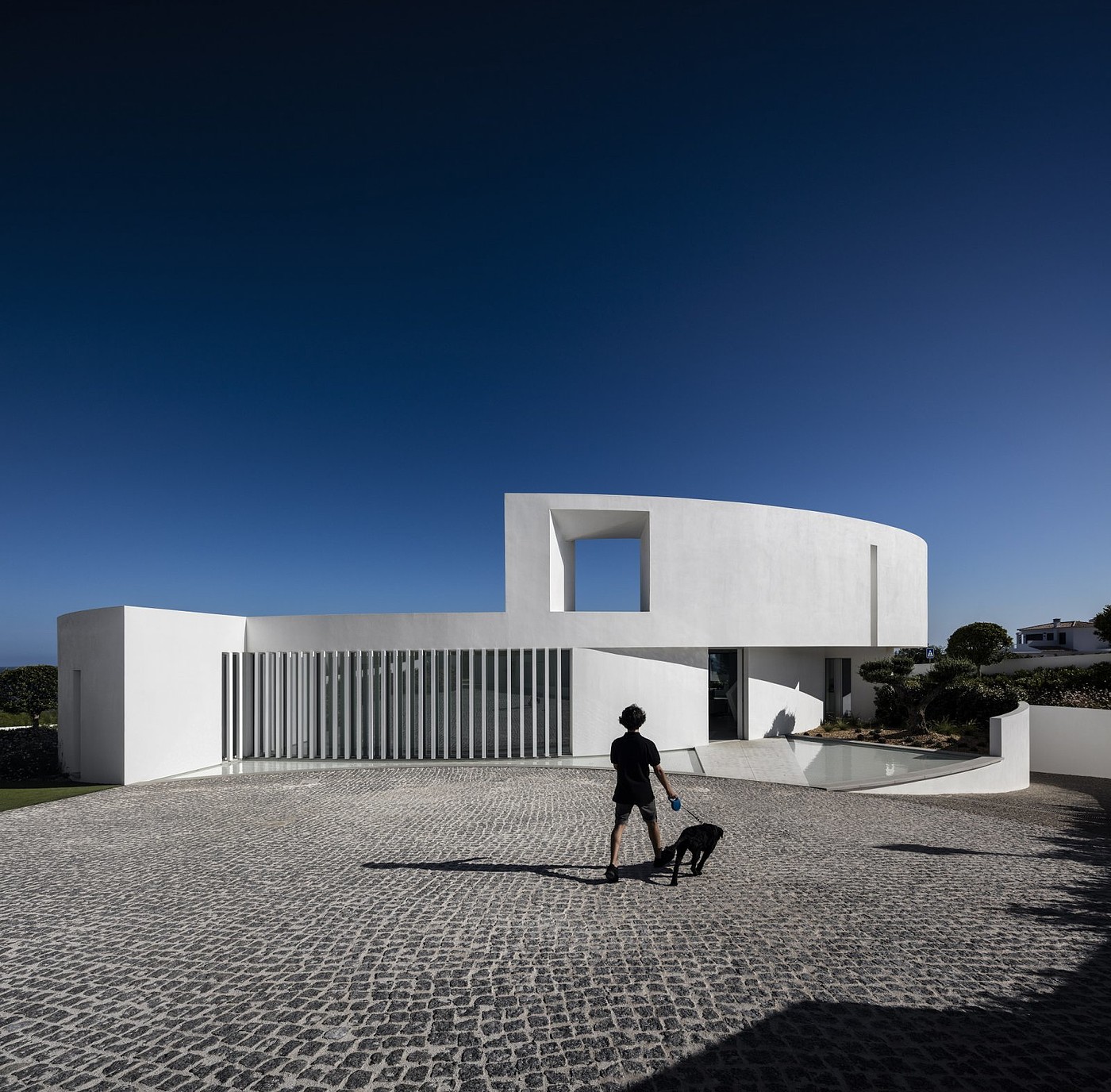 Elliptic House，Mario Martins，ellipse，Building interior，