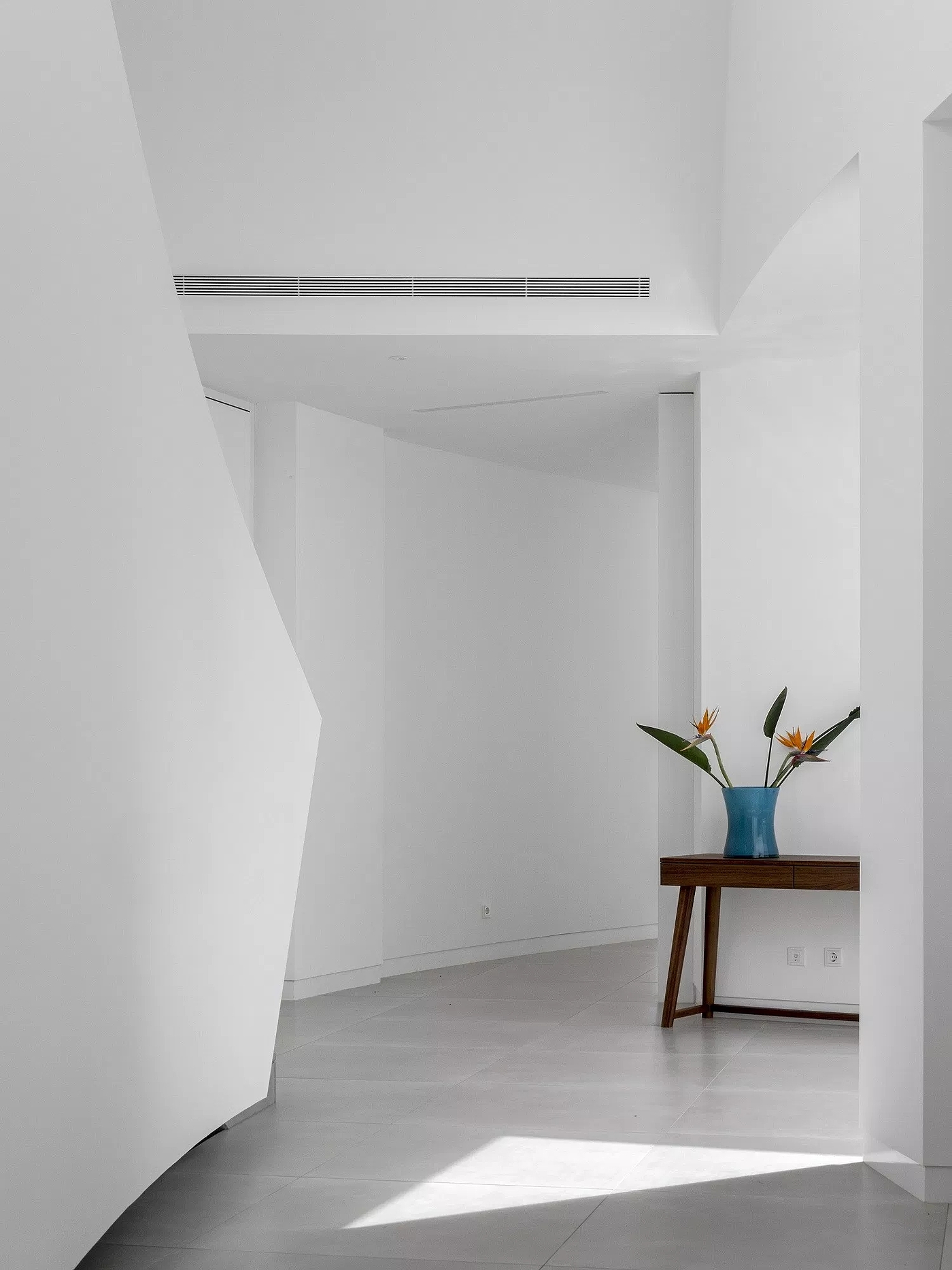 Elliptic House，Mario Martins，ellipse，Building interior，