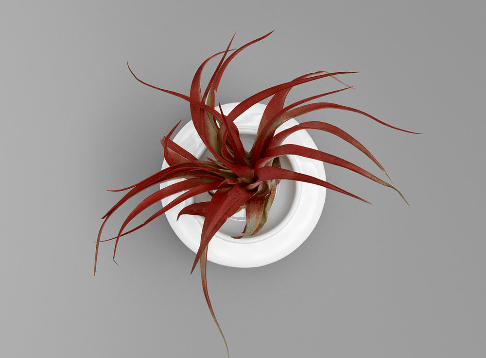 product design，industrial design，Porcelain，container，3D printing，OTHR，