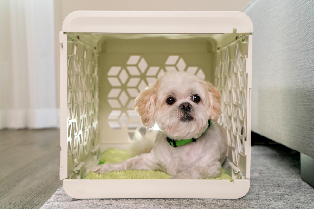 PAWD，kennel，Plastic，