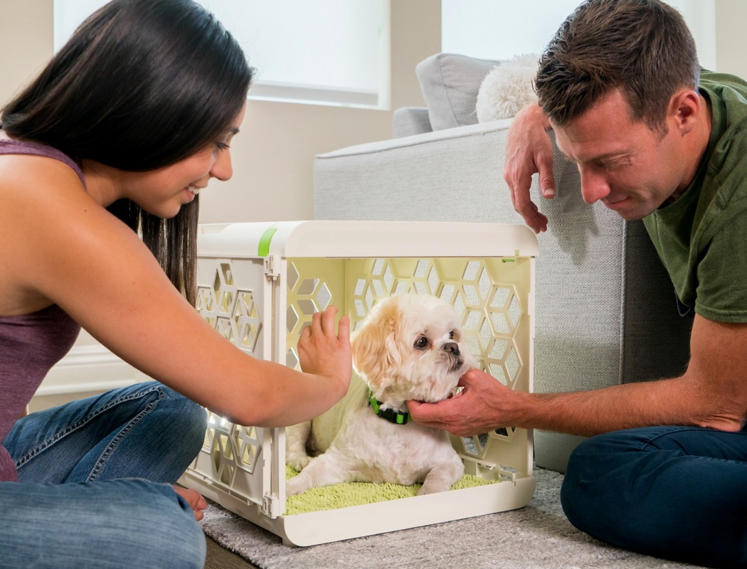 PAWD，kennel，Plastic，