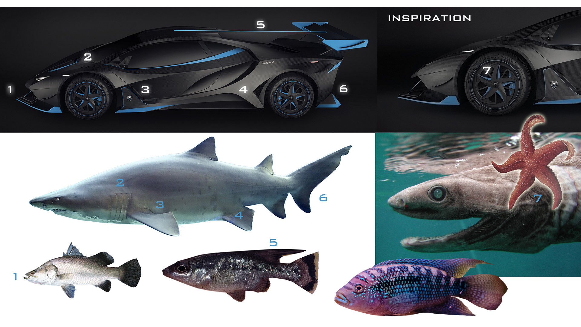 ALIENO ARCANUM，Bulgaria，Electric supercar，