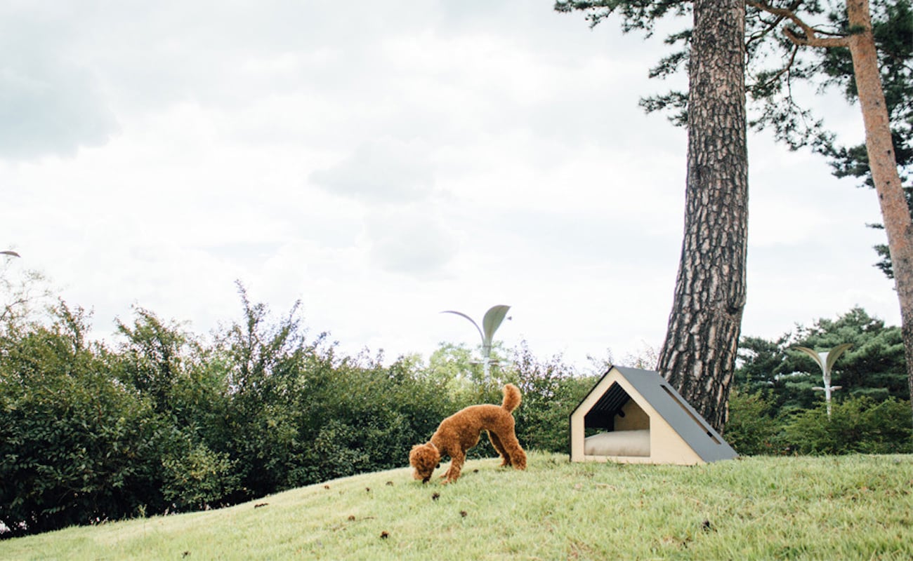 Doville luxury pet house，Bad Marlon，