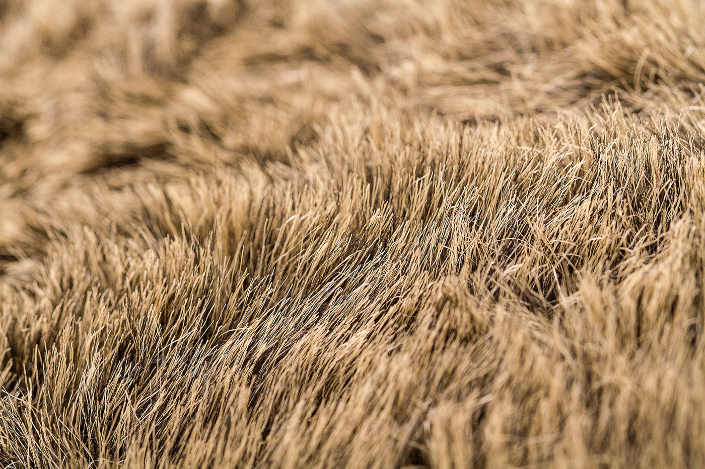 industrial design，coat，chair，Home furniture，BLACK SHEEP，