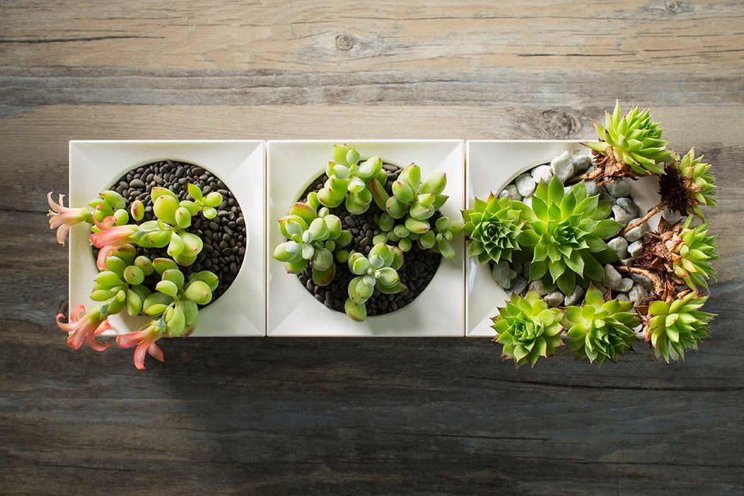 product design，Modular design，Plug and play，