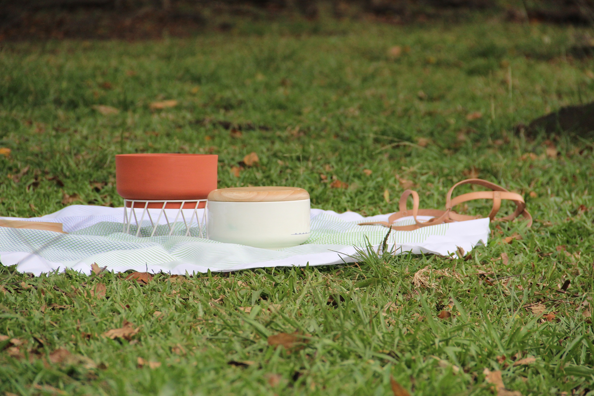 share，Tableware design，Lunch box，